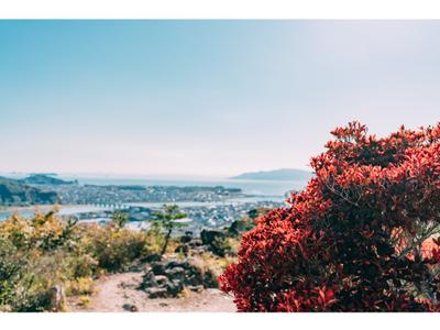 紅葉の絶景スポット雄鷹台山(おたかだいやま)を紹介💁‍♀️✨